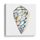 Shells Aquarelle Iii - Chariklia Zarris | Cuadro decorativo de Canvas Lab