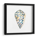 Shells Aquarelle Iii - Chariklia Zarris | Cuadro decorativo de Canvas Lab