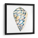 Shells Aquarelle Iii - Chariklia Zarris | Cuadro decorativo de Canvas Lab
