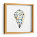 Shells Aquarelle Iii - Chariklia Zarris | Cuadro decorativo de Canvas Lab