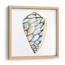 Shells Aquarelle Iii - Chariklia Zarris | Cuadro decorativo de Canvas Lab