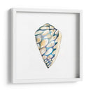 Shells Aquarelle Iii - Chariklia Zarris | Cuadro decorativo de Canvas Lab