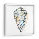 Shells Aquarelle Iii - Chariklia Zarris | Cuadro decorativo de Canvas Lab