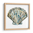 Shells Aquarelle Iv - Chariklia Zarris | Cuadro decorativo de Canvas Lab