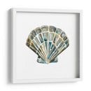 Shells Aquarelle Iv - Chariklia Zarris | Cuadro decorativo de Canvas Lab