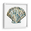 Shells Aquarelle Iv - Chariklia Zarris | Cuadro decorativo de Canvas Lab
