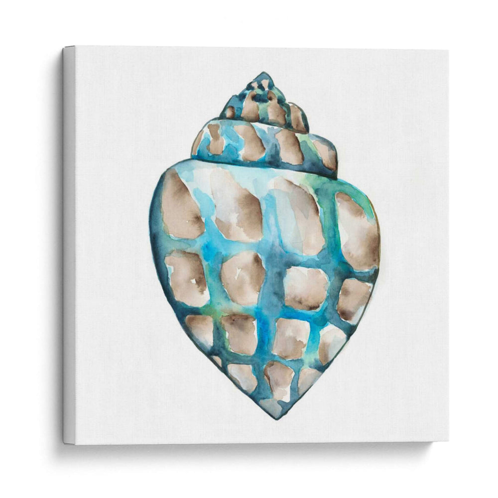 Conchas De Aquarelle V - Chariklia Zarris | Cuadro decorativo de Canvas Lab
