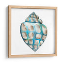 Conchas De Aquarelle V - Chariklia Zarris | Cuadro decorativo de Canvas Lab