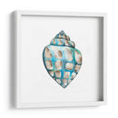 Conchas De Aquarelle V - Chariklia Zarris | Cuadro decorativo de Canvas Lab