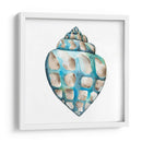 Conchas De Aquarelle V - Chariklia Zarris | Cuadro decorativo de Canvas Lab
