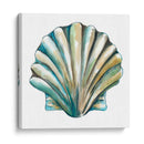 Conchas De Aquarelle Vi - Chariklia Zarris | Cuadro decorativo de Canvas Lab