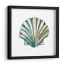 Conchas De Aquarelle Vi - Chariklia Zarris | Cuadro decorativo de Canvas Lab