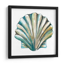 Conchas De Aquarelle Vi - Chariklia Zarris | Cuadro decorativo de Canvas Lab