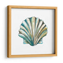 Conchas De Aquarelle Vi - Chariklia Zarris | Cuadro decorativo de Canvas Lab