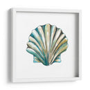 Conchas De Aquarelle Vi - Chariklia Zarris | Cuadro decorativo de Canvas Lab