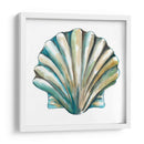 Conchas De Aquarelle Vi - Chariklia Zarris | Cuadro decorativo de Canvas Lab