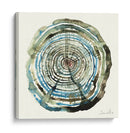 Roble de agua - Dan Hobday | Cuadro decorativo de Canvas Lab