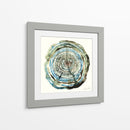 Roble de agua - Dan Hobday | Cuadro decorativo de Canvas Lab