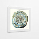 Roble de agua - Dan Hobday | Cuadro decorativo de Canvas Lab