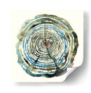 Roble de agua - Dan Hobday | Cuadro decorativo de Canvas Lab