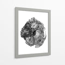 Tronco de roble - Dan Hobday | Cuadro decorativo de Canvas Lab