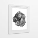 Tronco de roble - Dan Hobday | Cuadro decorativo de Canvas Lab