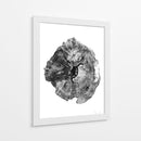 Tronco de roble - Dan Hobday | Cuadro decorativo de Canvas Lab