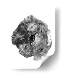 Tronco de roble - Dan Hobday | Cuadro decorativo de Canvas Lab