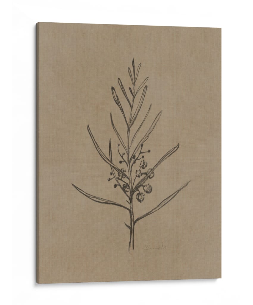Árbol joven de blackwood - Dan Hobday | Cuadro decorativo de Canvas Lab