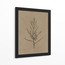 Árbol joven de blackwood - Dan Hobday | Cuadro decorativo de Canvas Lab