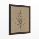 Árbol joven de blackwood - Dan Hobday | Cuadro decorativo de Canvas Lab