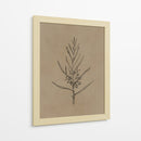 Árbol joven de blackwood - Dan Hobday | Cuadro decorativo de Canvas Lab
