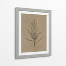 Árbol joven de blackwood - Dan Hobday | Cuadro decorativo de Canvas Lab
