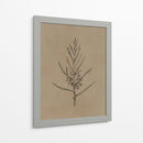 Árbol joven de blackwood - Dan Hobday | Cuadro decorativo de Canvas Lab