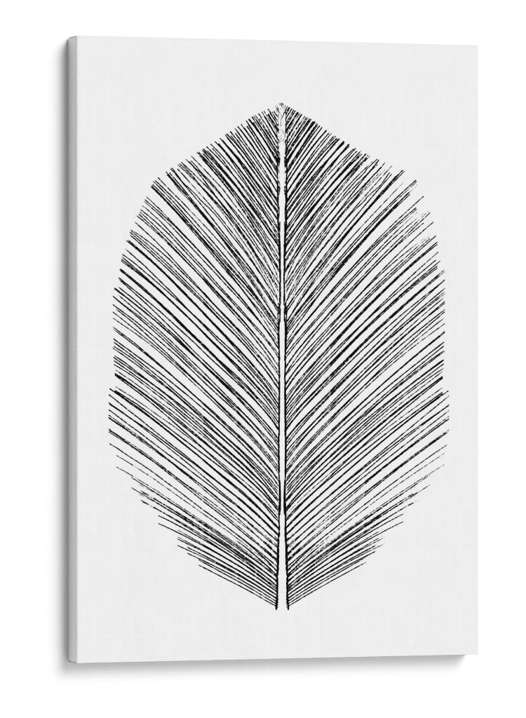 Pluma - Dan Hobday | Cuadro decorativo de Canvas Lab