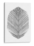 Pluma - Dan Hobday | Cuadro decorativo de Canvas Lab