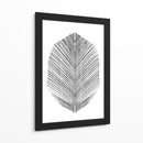 Pluma - Dan Hobday | Cuadro decorativo de Canvas Lab