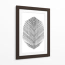 Pluma - Dan Hobday | Cuadro decorativo de Canvas Lab