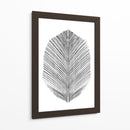 Pluma - Dan Hobday | Cuadro decorativo de Canvas Lab