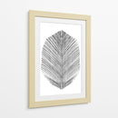 Pluma - Dan Hobday | Cuadro decorativo de Canvas Lab