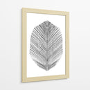 Pluma - Dan Hobday | Cuadro decorativo de Canvas Lab