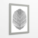 Pluma - Dan Hobday | Cuadro decorativo de Canvas Lab