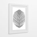 Pluma - Dan Hobday | Cuadro decorativo de Canvas Lab