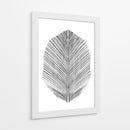 Pluma - Dan Hobday | Cuadro decorativo de Canvas Lab