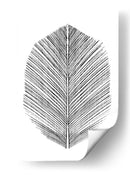 Pluma - Dan Hobday | Cuadro decorativo de Canvas Lab