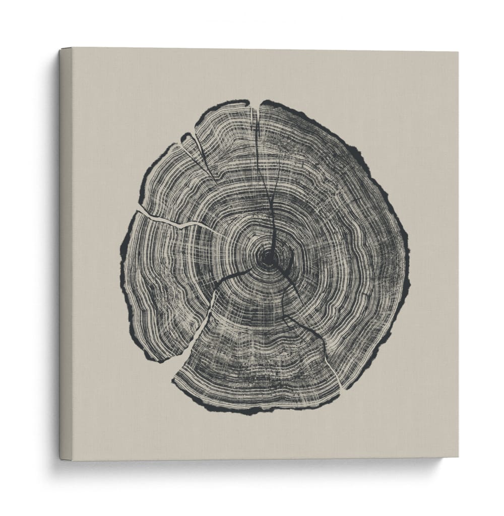 Roble dibujado a mano - Dan Hobday | Cuadro decorativo de Canvas Lab
