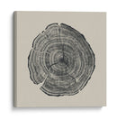 Roble dibujado a mano - Dan Hobday | Cuadro decorativo de Canvas Lab