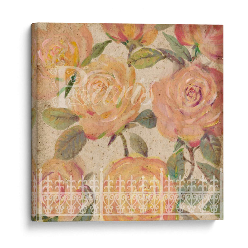 Vintage Painterly Roses Ii - Tim OToole | Cuadro decorativo de Canvas Lab