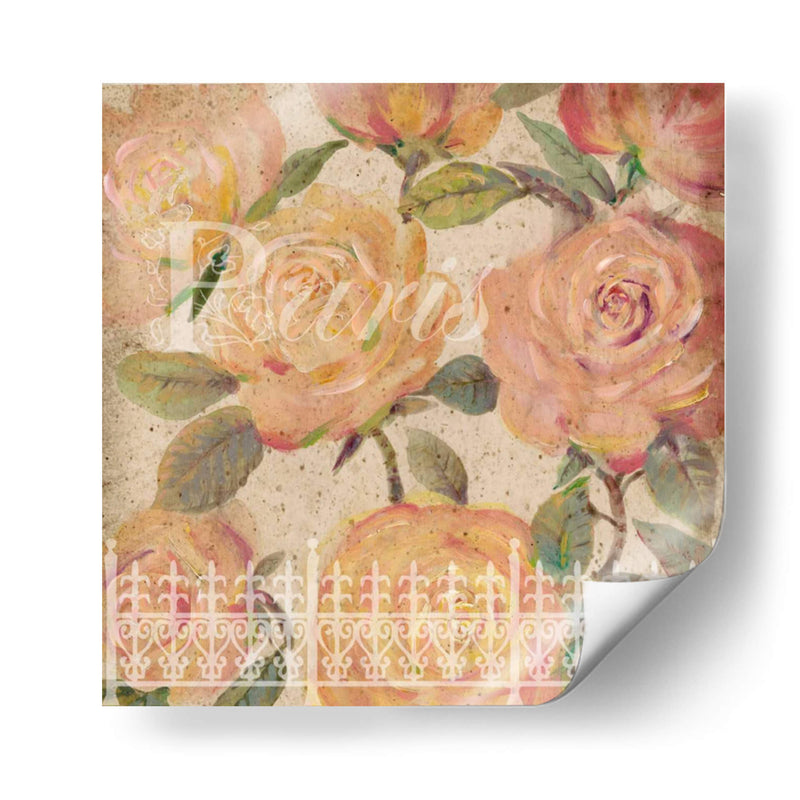 Vintage Painterly Roses Ii - Tim OToole | Cuadro decorativo de Canvas Lab