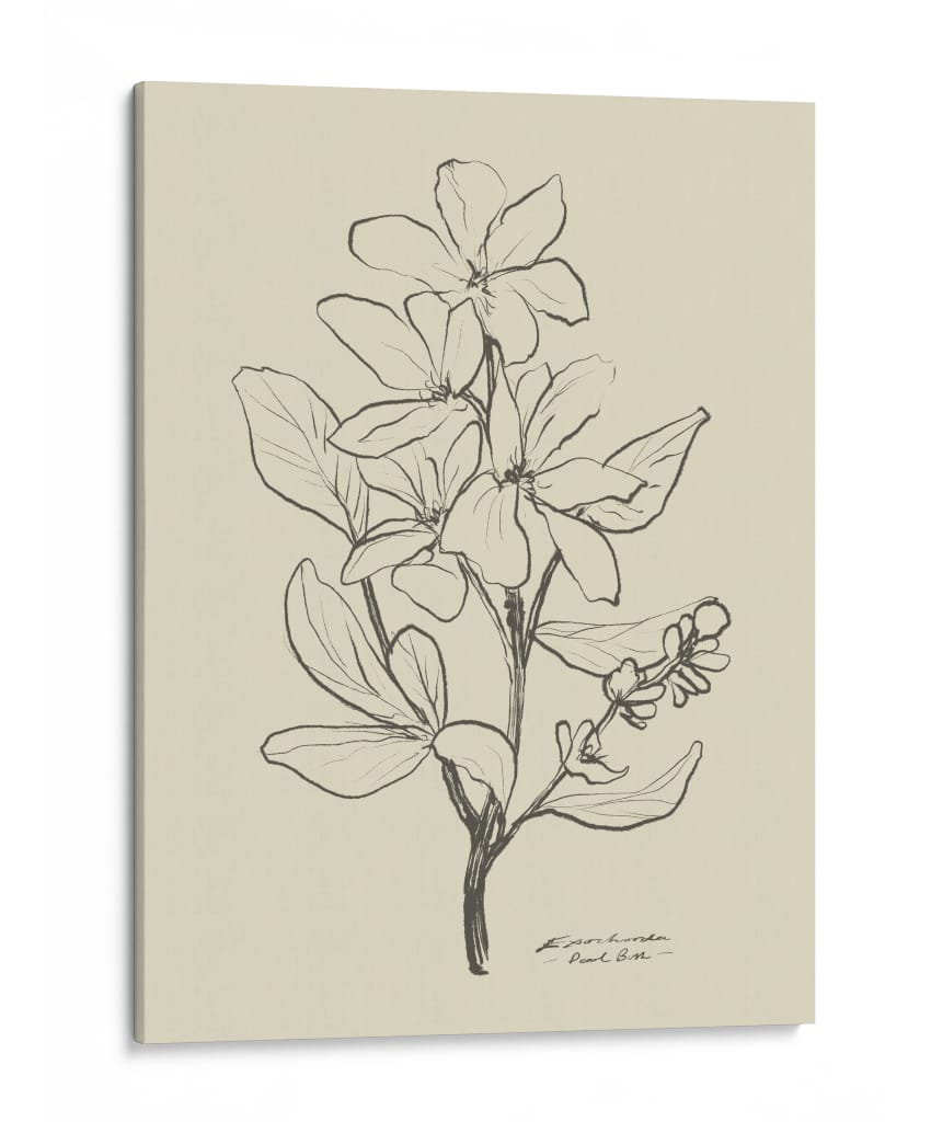 Floral 1 - Dan Hobday | Cuadro decorativo de Canvas Lab